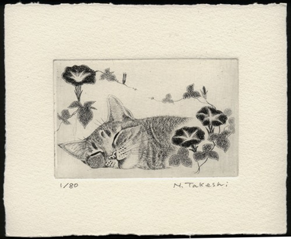 【自作】銅版画 「ほおづき」「猫とカモメ」 8580e06e85145f3ccd1fb97df4d816