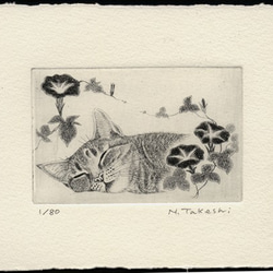 朝顔とお昼寝の猫/ 銅版画 (額あり） 3枚目の画像