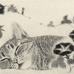 朝顔とお昼寝の猫/ 銅版画 (額あり） 4枚目の画像