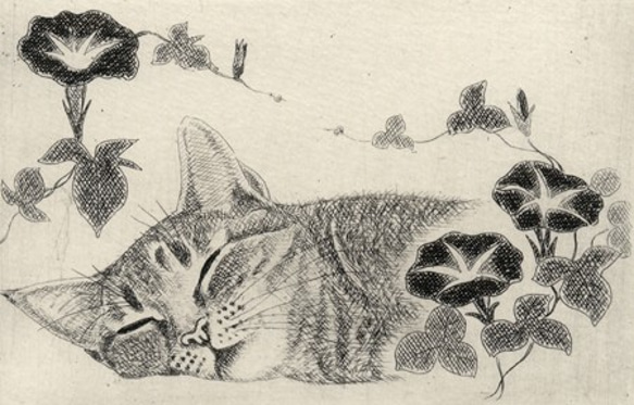 朝顔とお昼寝の猫/ 銅版画 (額あり） 4枚目の画像