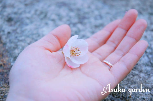 桜のネックレス（小） 5枚目の画像