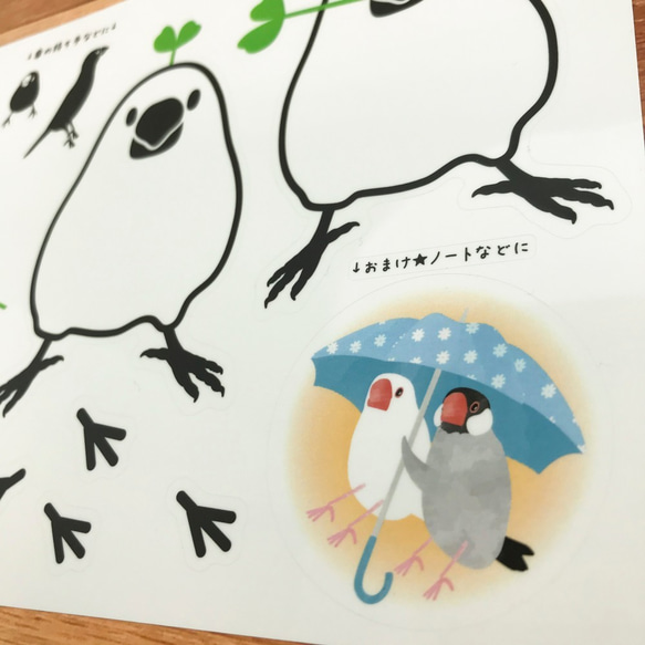 ビニール傘専用♪文鳥さんシール 5枚目の画像