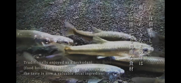 琵琶湖の湖魚・天然ホンモロコを使用した”だし醤油「もろこ隠れ」” 4枚目の画像