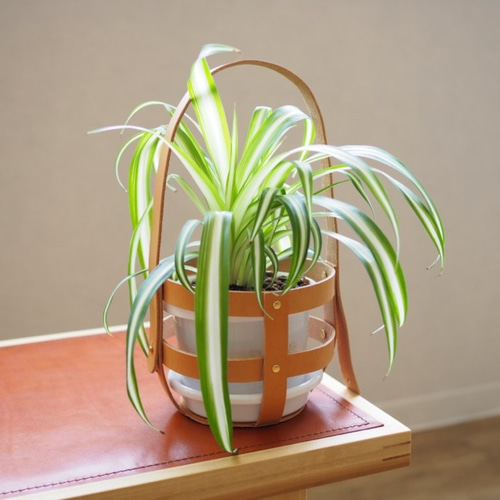 吊り下げ　プランター 吊り鉢 ハンギングプランター 吊り下げ用プランター ファンヌ