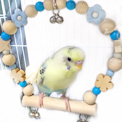 【Sサイズ】クリスマス風 日本製 天然木 セキセイインコ 14cm前後 インコ 鳥 ブランコ NA94：緑×赤 4枚目の画像