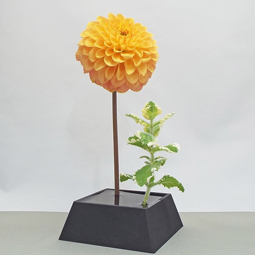 お花が浮いてる?不思議な花瓶 THE ROOT 角 一輪挿し・花瓶 お花が浮いてる?不思議な花瓶 THE ROOT 角 一輪挿し・花瓶