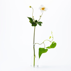 理化学ガラスの花瓶「MEDIFLA(メディフラ) 」CHIMNEY（チムニー） 2枚目の画像