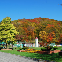 栗山特産「栗山栗」たっぷりのパウンドケーキ(まるまる2本入り） 8枚目の画像