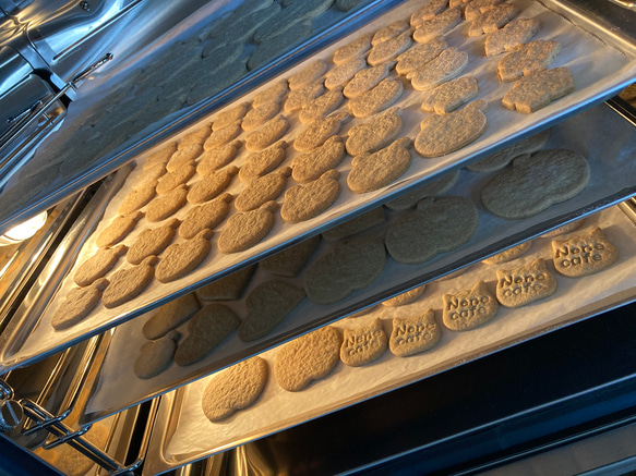 【グルテンフリー】ガレット屋さんの贅沢そば粉100％クッキー　6袋　 1枚目の画像