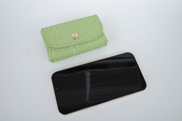 ほぼ名刺サイズのコンパクト財布 折らずにお札が入る超小型財布 | メロン柄とピーナッツ柄のバイカラー 5枚目の画像