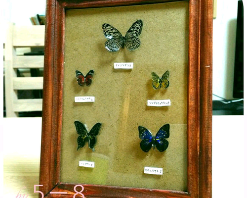 インテリアの蝶 1_52e9169462a62b029d2de5824e0d