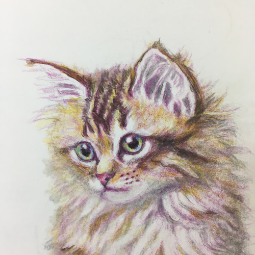 猫のイラスト ねこの絵 原画 色鉛筆が 猫 絵 手描き 絵画 アート 猫のイラスト ねこの絵 原画 色鉛筆が 猫 絵 手描き 絵画 アート