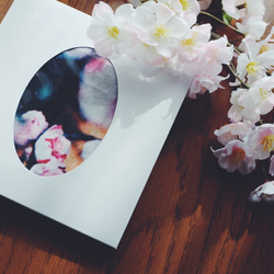 持ち歩ける季節の花　フラワーフォトプリント　大判ハンカチ　桜　(春限定) 8枚目の画像