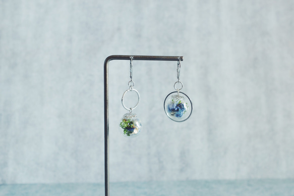 植物蒐集　花と緑をガラスドームに詰め込んだアシメ耳飾り　 青 2枚目の画像