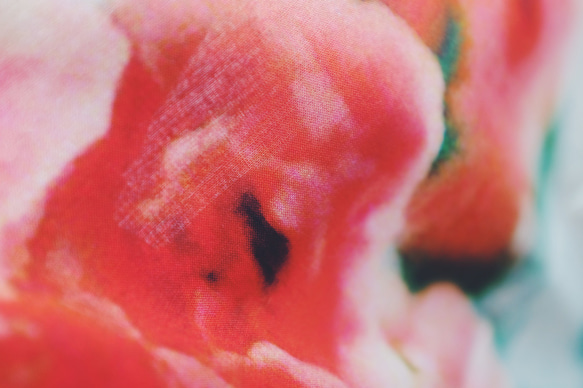 アートを持ち歩く　花をプリントしたハンカチ　大判　薔薇　桃色 3枚目の画像
