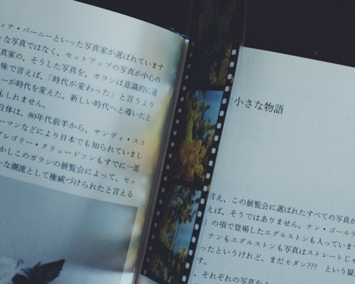 35mm ポジフィルム風クリアブックマーカー いろいろな花 4枚セット