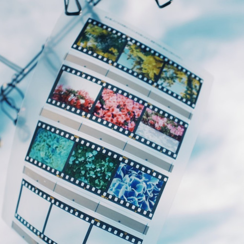 35mm ポジフィルム風クリアブックマーカー いろいろな花 4枚セット