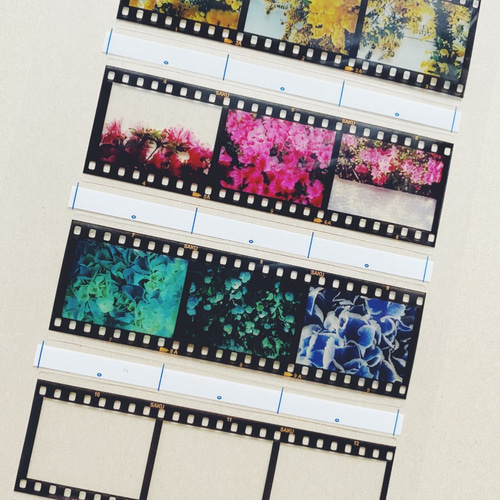 35mm ポジフィルム風クリアブックマーカー いろいろな花 4枚セット
