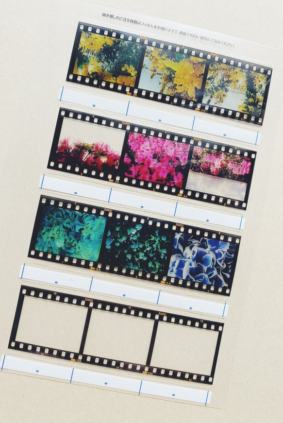 35mm　ポジフィルム風クリアブックマーカー　いろいろな花　４枚セット 9枚目の画像