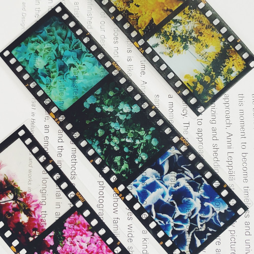 35mm ポジフィルム風クリアブックマーカー いろいろな花 4枚セット