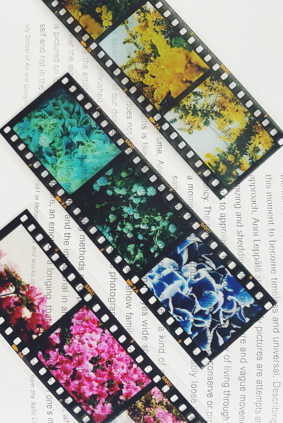 35mm　ポジフィルム風クリアブックマーカー　いろいろな花　４枚セット 6枚目の画像