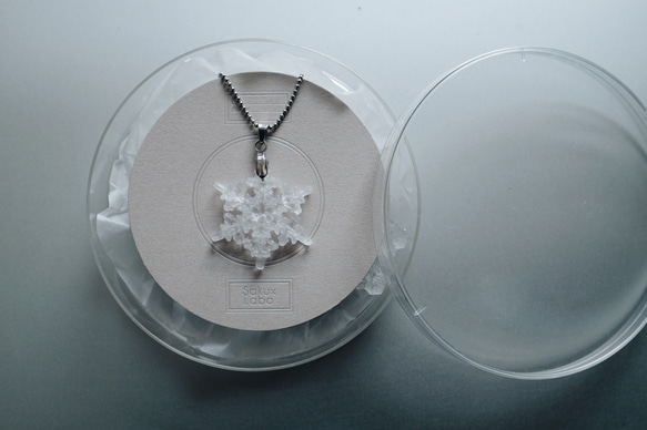 雪の結晶標本ネックレス　サージカルステンレス　《2月末まで》 1枚目の画像
