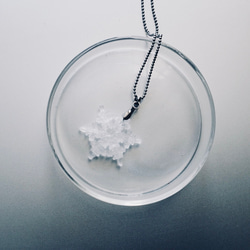 雪の結晶標本ネックレス　サージカルステンレス　《2月末まで》 2枚目の画像