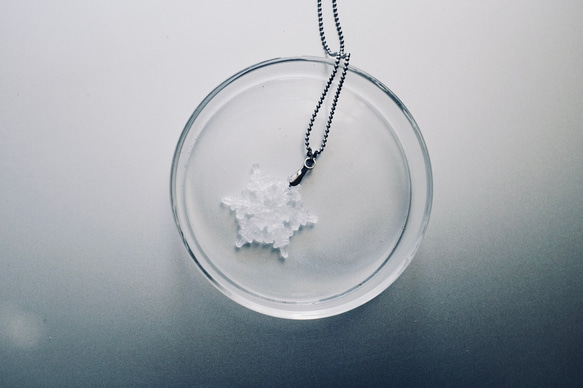 雪の結晶標本ネックレス　サージカルステンレス　《2月末まで》 2枚目の画像