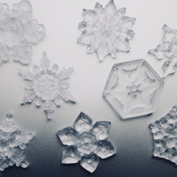 雪の結晶標本ネックレス　サージカルステンレス　《2月末まで》 6枚目の画像