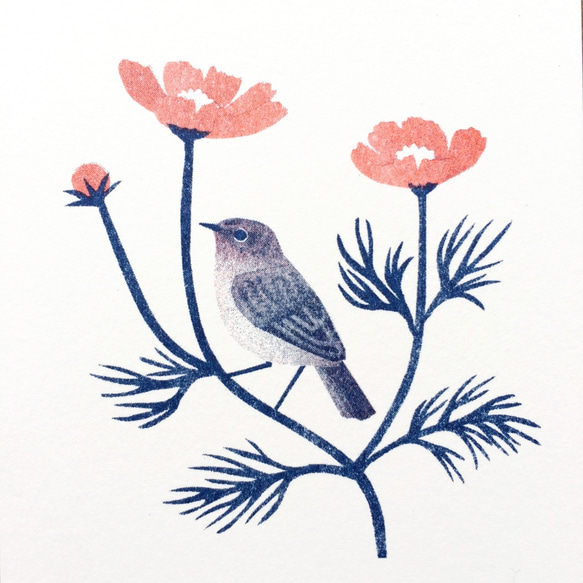花と鳥のポストカード B（６枚セット） 2枚目の画像