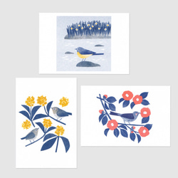 花と鳥のポストカード B（６枚セット） 7枚目の画像
