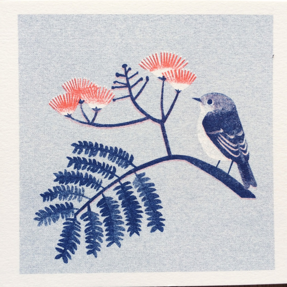 花と鳥のポストカード B（６枚セット） 4枚目の画像