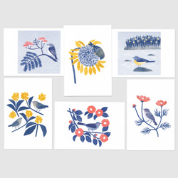 花と鳥のポストカード B（６枚セット） 5枚目の画像