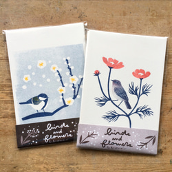 花と鳥のポストカード B（６枚セット） 8枚目の画像