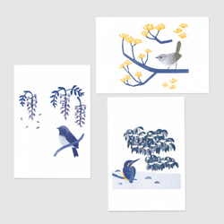 花と鳥のポストカード  A（６枚セット） 6枚目の画像