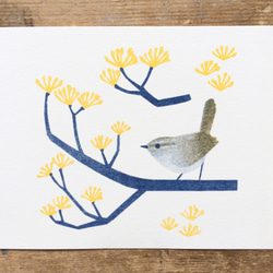 花と鳥のポストカード  A（６枚セット） 3枚目の画像