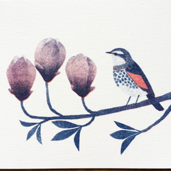 花と鳥のポストカード  A（６枚セット） 4枚目の画像