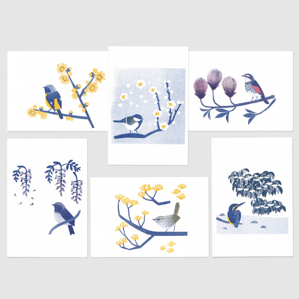 花と鳥のポストカード  A（６枚セット） 7枚目の画像