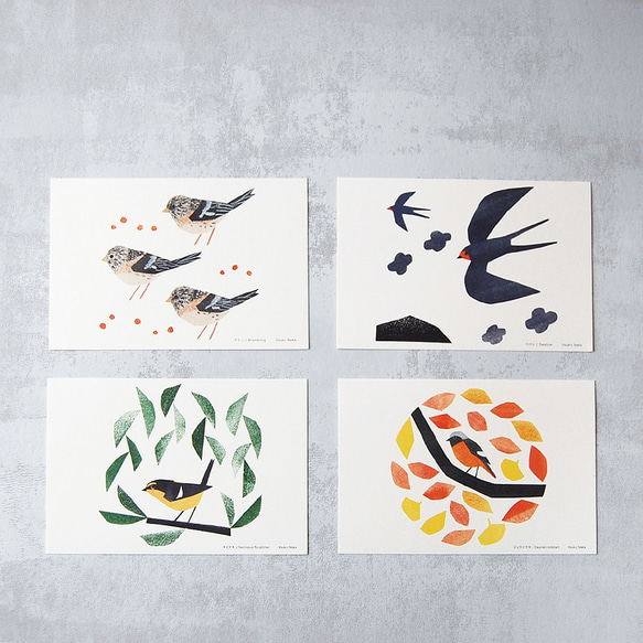 渡り鳥ポストカード（大判サイズ）４種セット 6枚目の画像