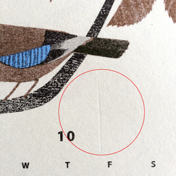 【再販】（訳あり）2019年 木の実と野鳥のカレンダー 6枚目の画像