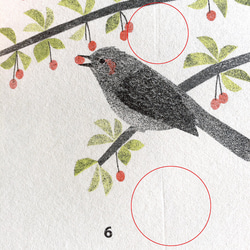 【再販】（訳あり）2019年 木の実と野鳥のカレンダー 7枚目の画像