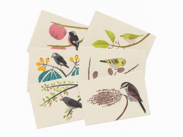 木の実と野鳥のポストカード（６枚セット） 1枚目の画像