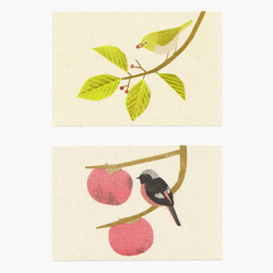 木の実と野鳥のポストカード（６枚セット） 3枚目の画像