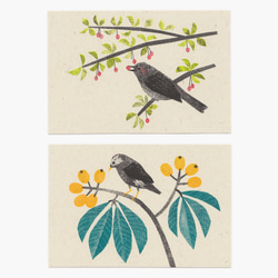 木の実と野鳥のポストカード（６枚セット） 4枚目の画像