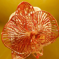 メタルカラー　華やか赤＆金　胡蝶蘭の簪　ヘッドドレス　和装ヘア　 1枚目の画像