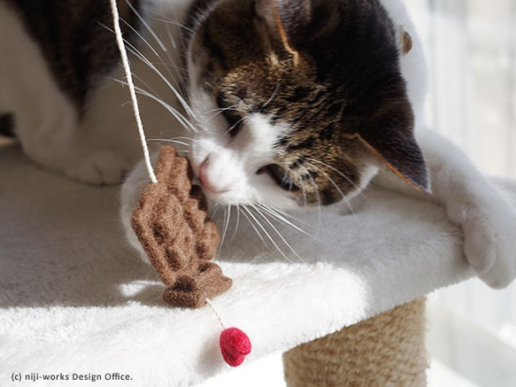 ＜愛猫にもバレンタイン！＞猫戯玉－cat the ball－【板チョコ】 2枚目の画像