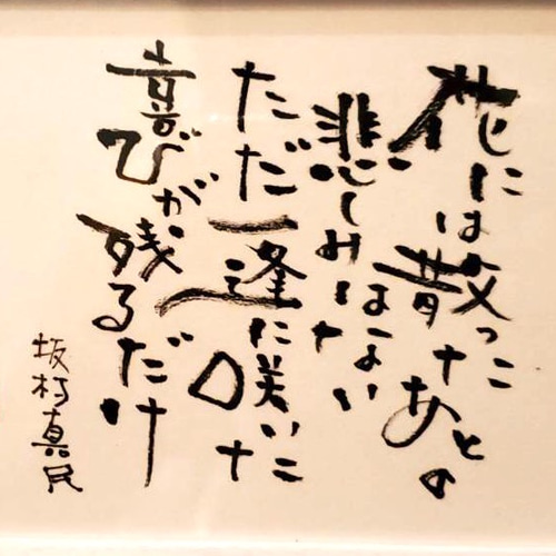 世界で一枚『己書』絵葉書【坂村真民の言葉】 書道 Luna Luna