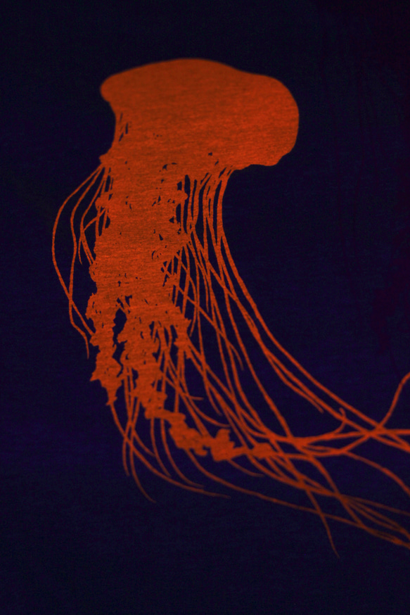 Jellyfish Tシャツ XLサイズ 3枚目の画像