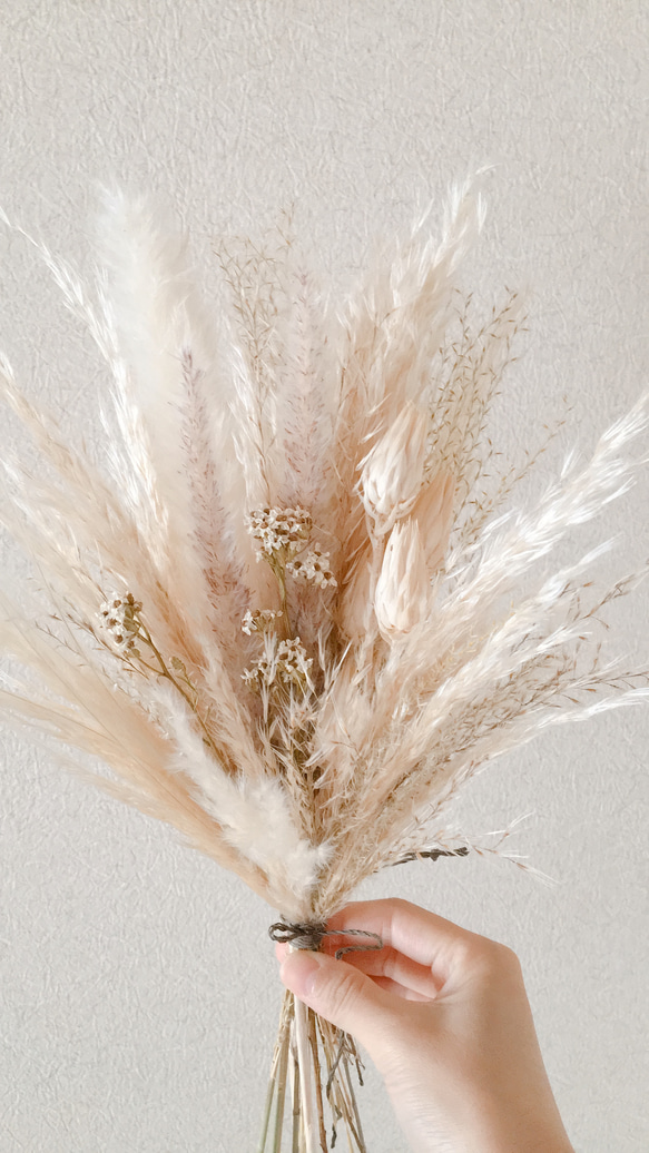 パンパスグラスと白い小花のブーケ　　スワッグ　　ドライフラワー 6枚目の画像