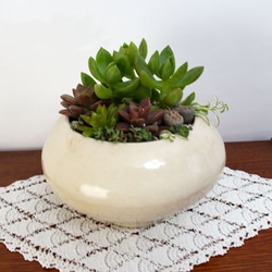 美濃焼植木鉢　白 2枚目の画像